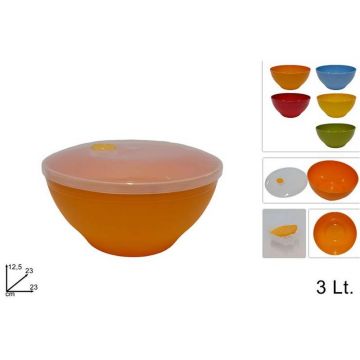 Pozuelo Plastico 3Lt